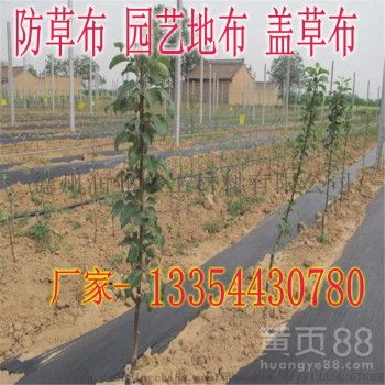 優質高強度塑編布防草布 UV抗老化與耐腐蝕性能全解析