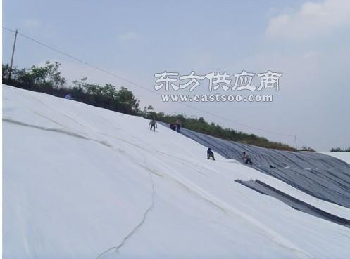探秘寧波鉅晟塑料編織布生產廠家 品質塑編布的匠心制造