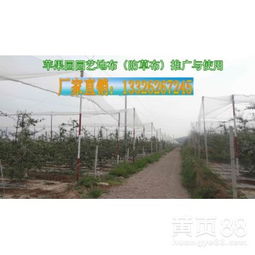 【防草布作用、使用效果、山東塑料編織布廠家、白編織布價格】-